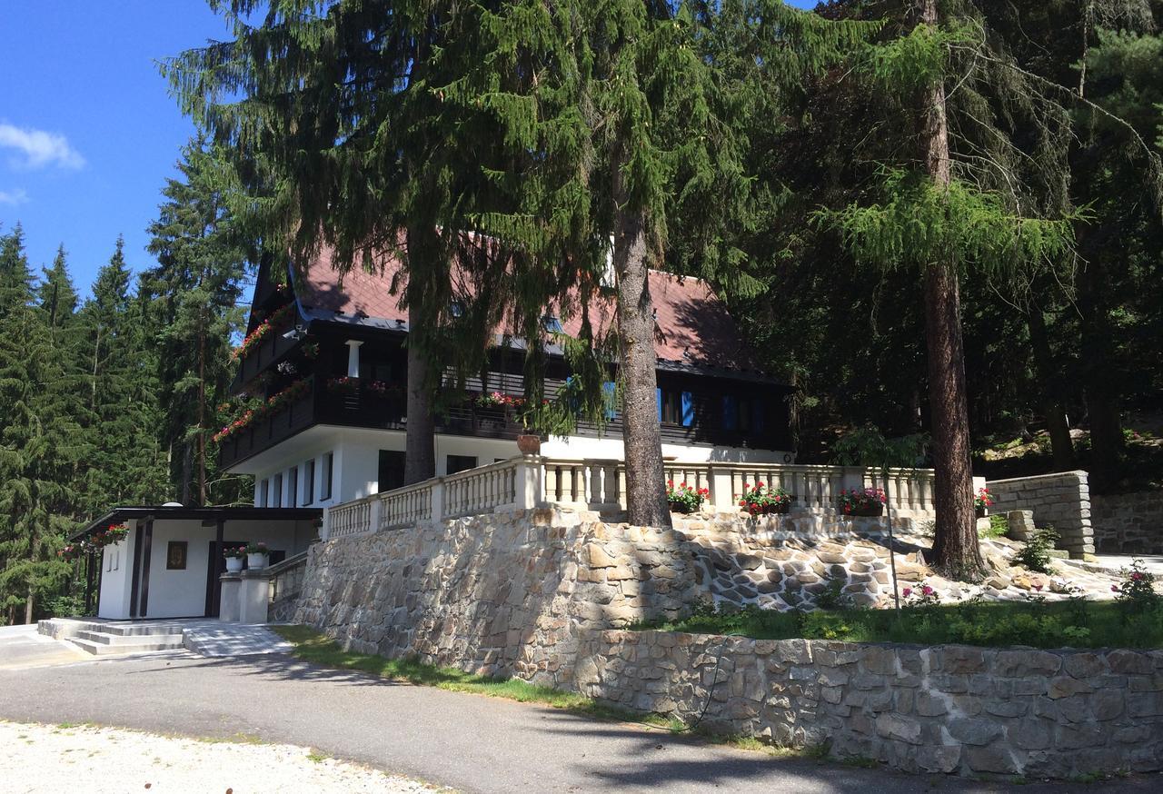 Hunting Lodge Vitkov Sokolov Exteriör bild
